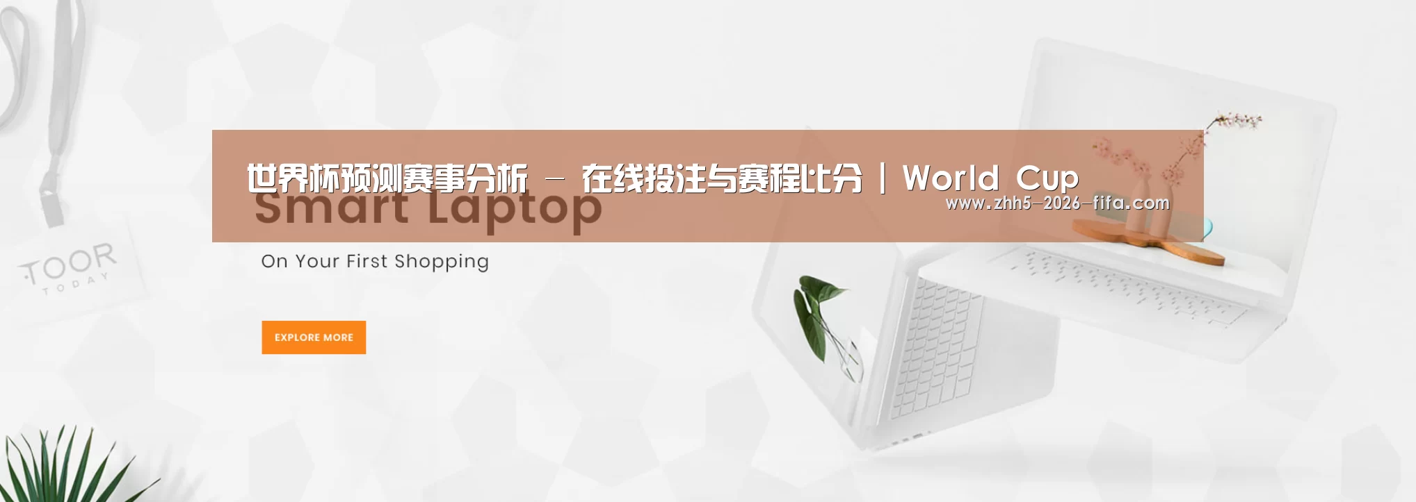 某某网络科技有限公司