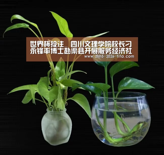 世界杯投注
